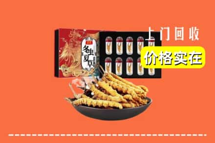 湘西吉首市回收冬虫夏草