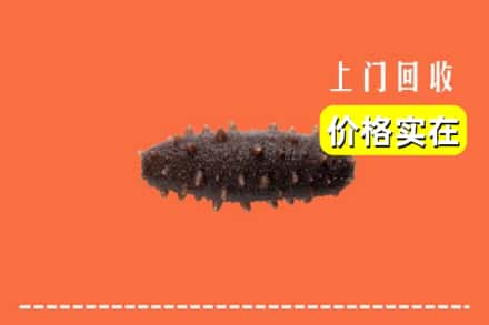 湘西吉首市回收海参