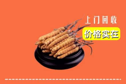 湘西吉首市回收冬虫夏草